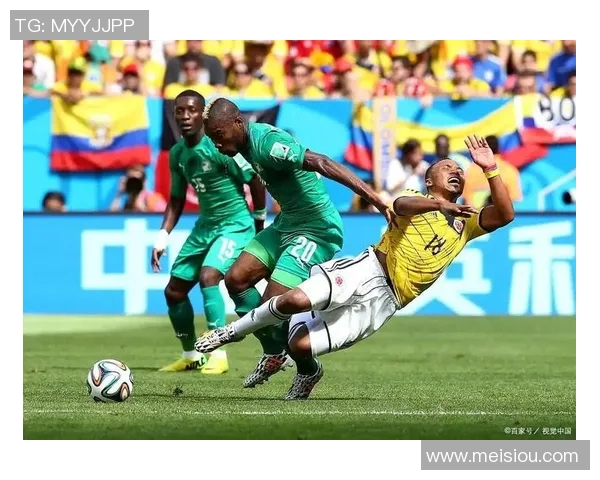 尼日利亚与埃及足球对决前瞻及胜负预测分析