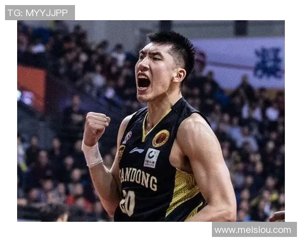 陶汉林:从篮球场上的拼搏者到社会责任的践行者 陶汉林:从篮球场上的拼搏者到社会责任的践行者